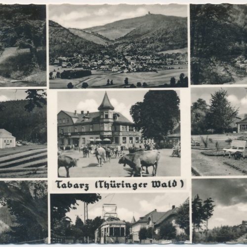 AK, Tabarz, Thüringer Wald, Thüringen (S1717)