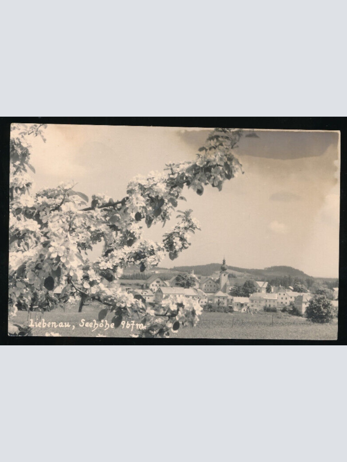 AK aus Liebenau Oberösterreich (5866)