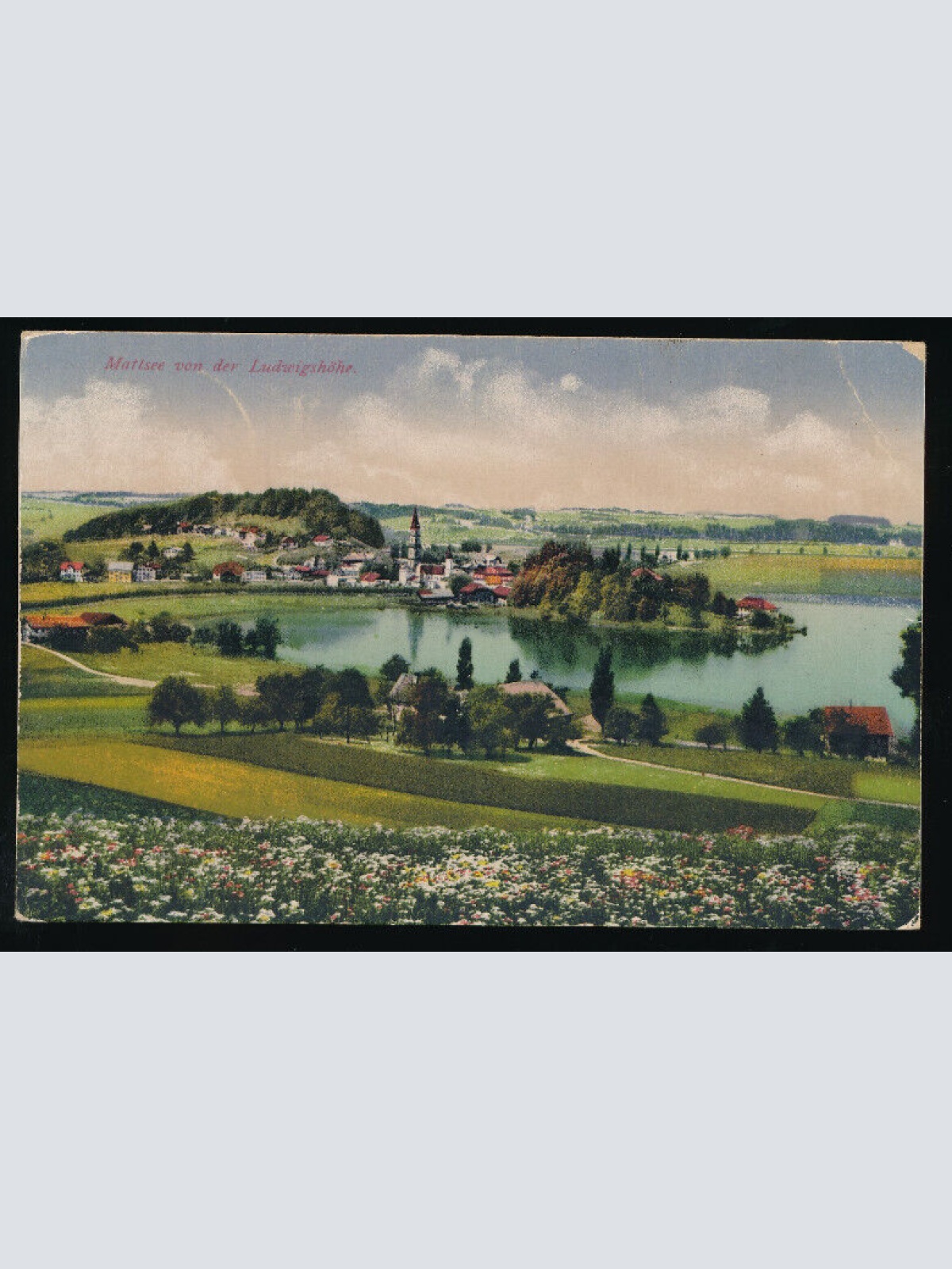 AK aus Mattsee von der Ludwigshöhe Salzburg (5554)