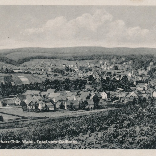 AK, Tambach-Dietharz, Thüringen, Wald - Total vom Gallberg (S1521)