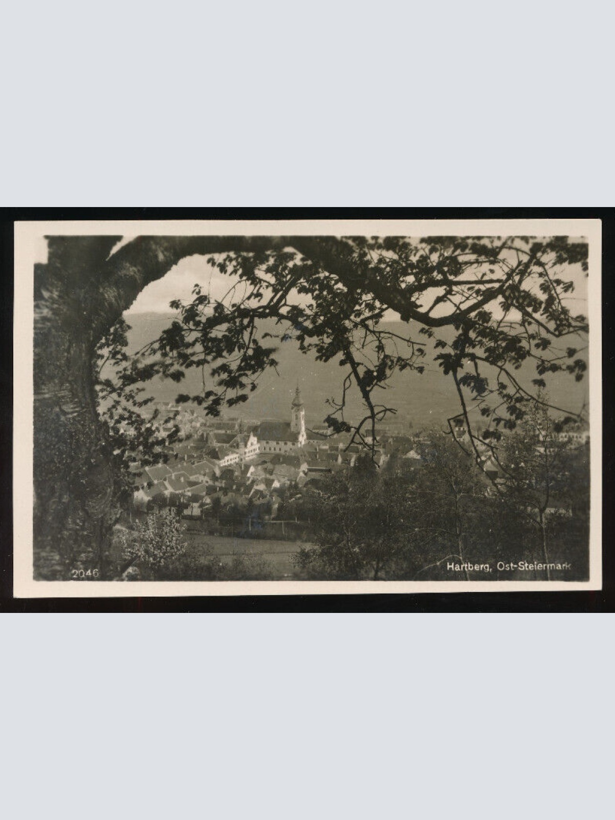 AK aus Hartberg Steiermark (5635)