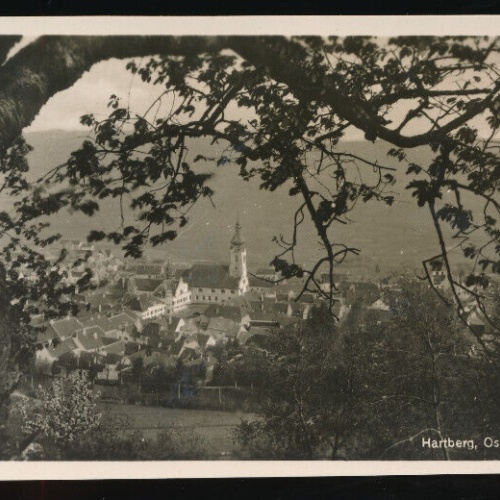 AK aus Hartberg Steiermark (5635)