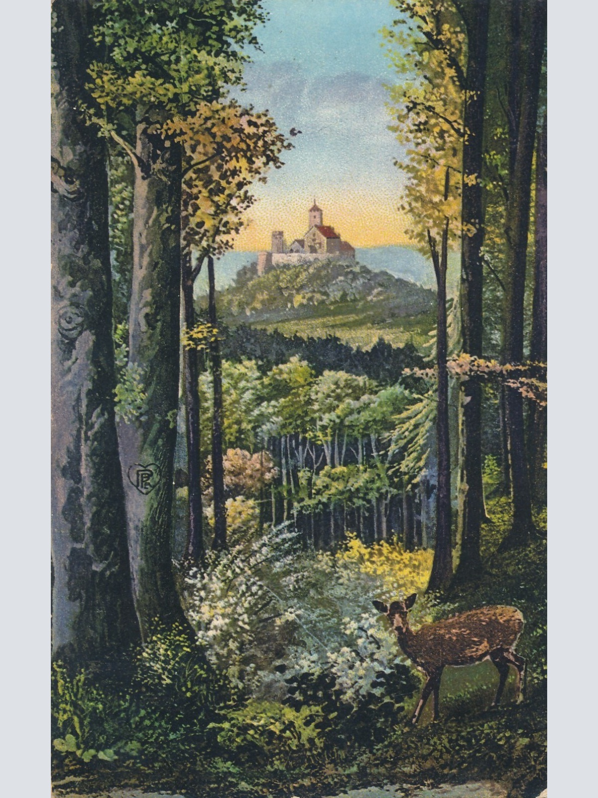 AK, Eisenach, Durchblick v. d. Hohensonne nach der Wartburg, Thüringen (S1847)