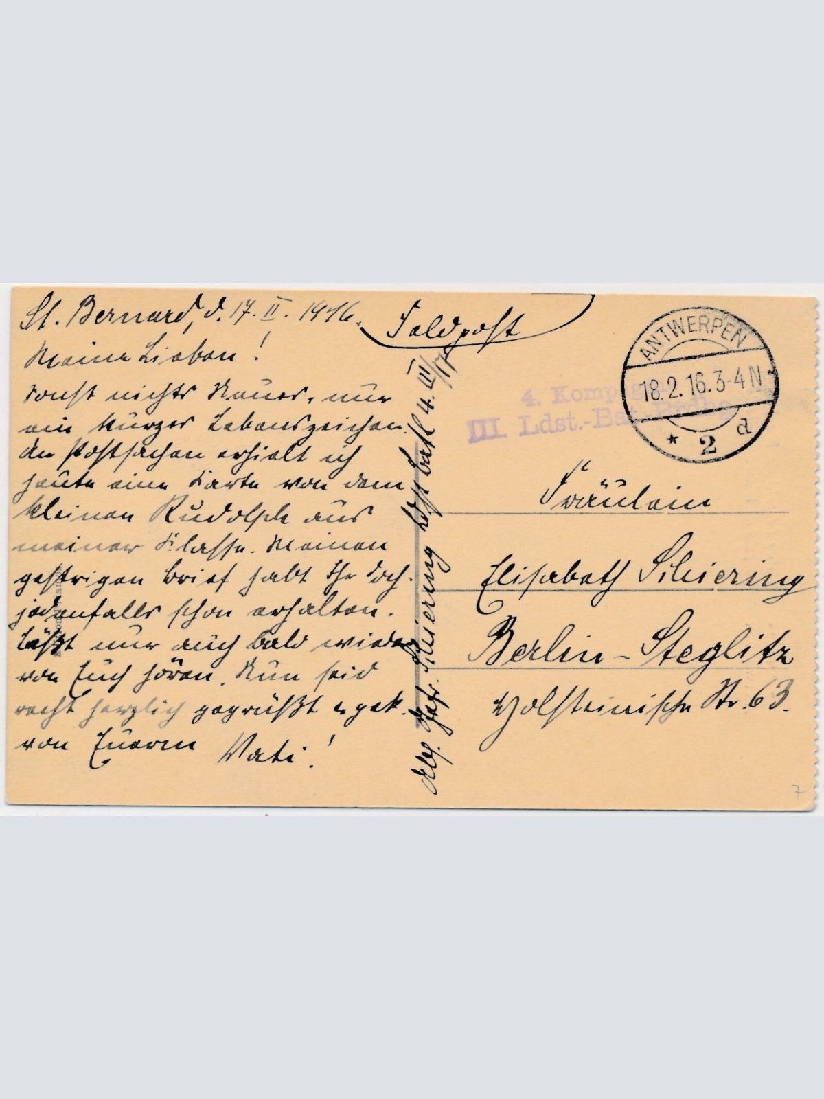 AK, Anvers, Antwerpen, Statue Leopold de Wael, Belgien (S1977)