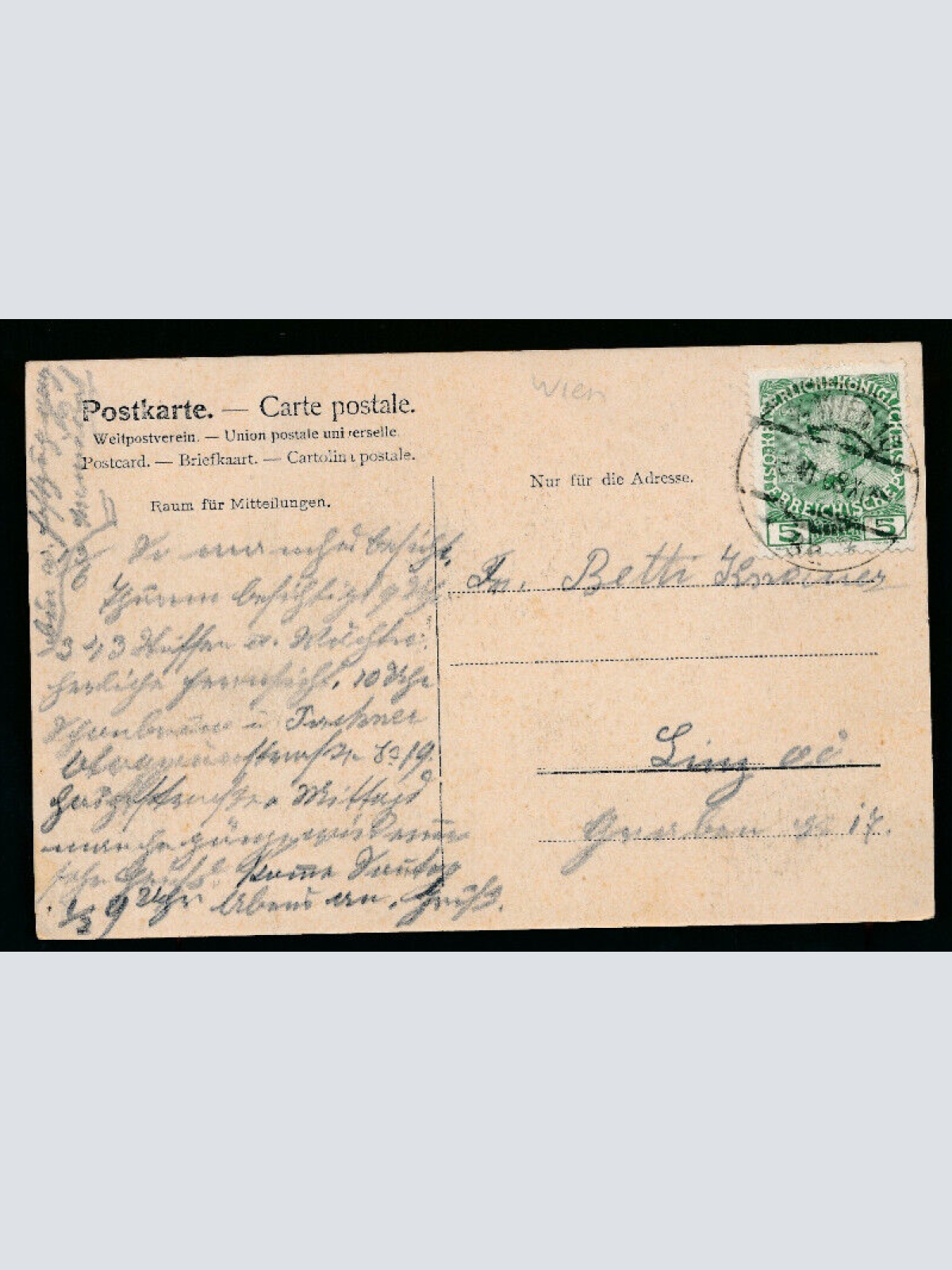 AK aus Wien Stefansdom (5733)