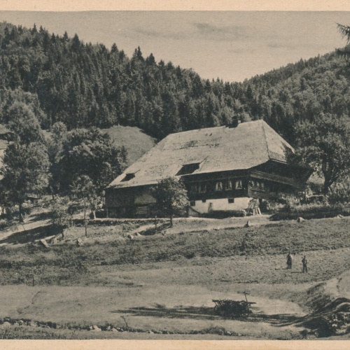 AK, Aus dem Hochschwarzwald (S1756)