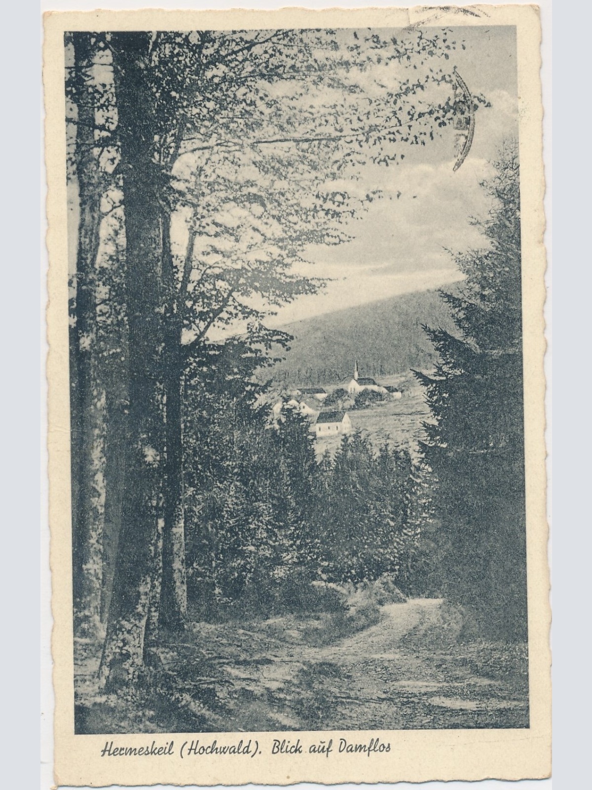 AK, Hermeskeil, Hochwald, Blick auf Damflos, Rheinland-Pfalz (S1759)