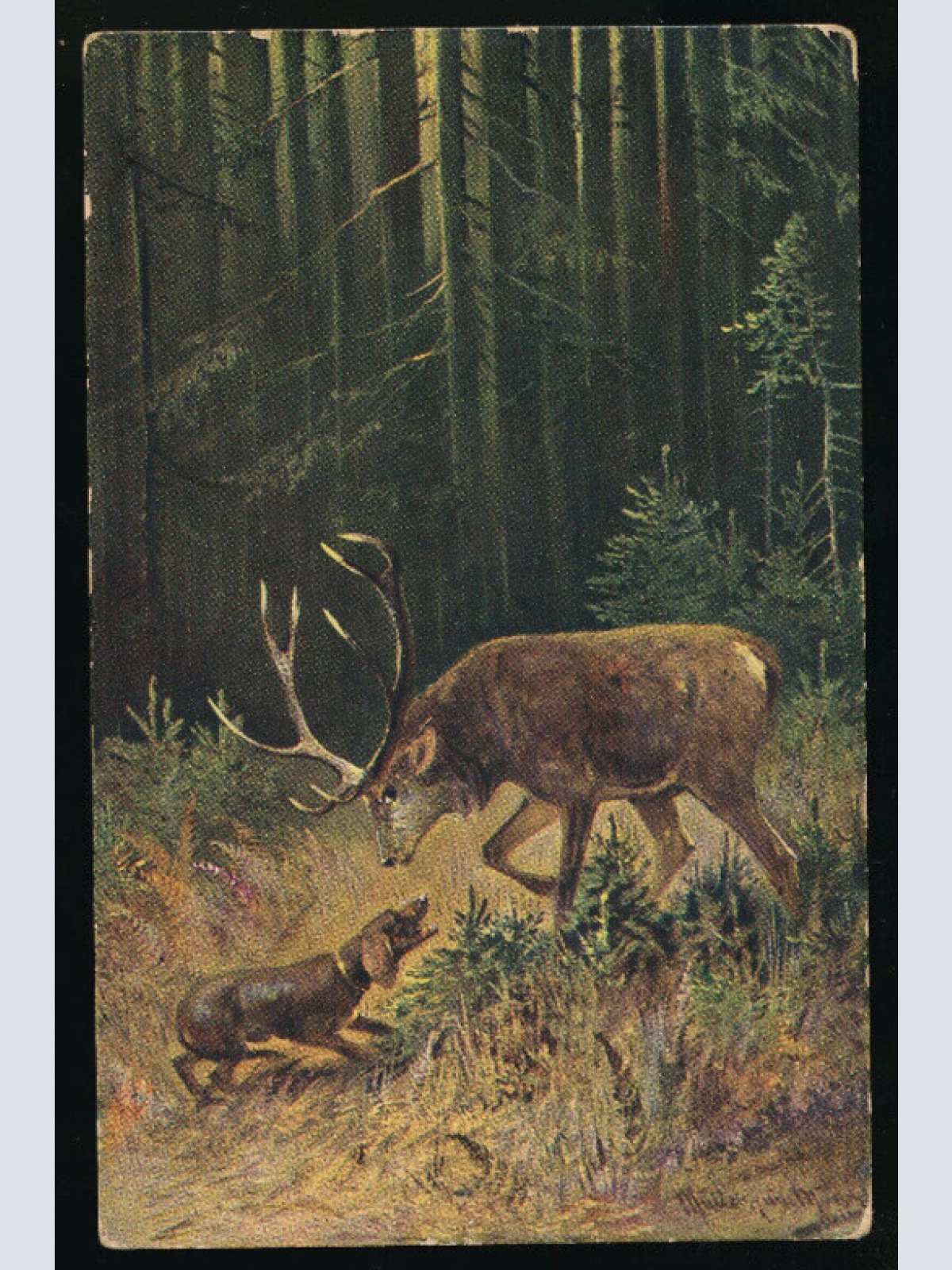 Motiv - Karte Gruß von der Jagt mit Hund und Hirsch (5962)