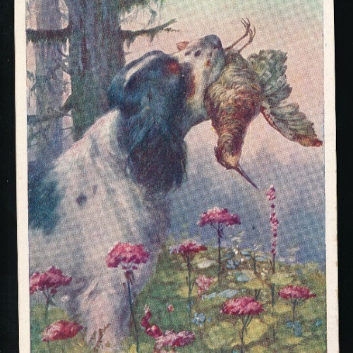 Motiv - Karte Gruß von der Jagt mit Hund mit Vogel (5963)