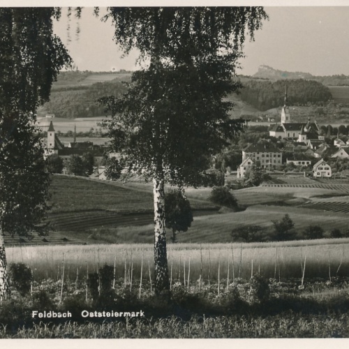 AK aus Feldbach Steiermark (6466)