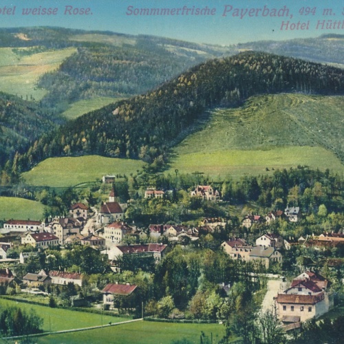 AK aus Payerbach mit Hotel weisse Rose Niederösterreich (6388)