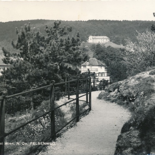 AK aus Baden bei Wien Felsenweg Niederösterreich (6178)