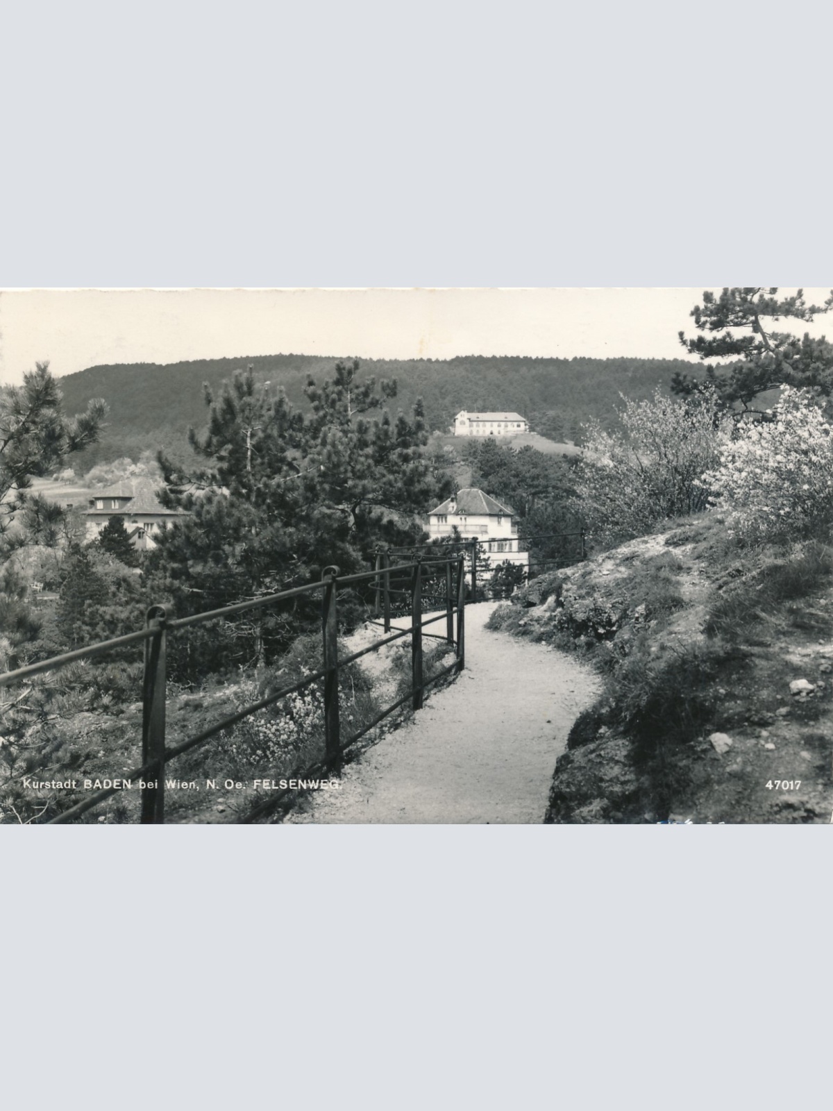 AK aus Baden bei Wien Felsenweg Niederösterreich (6178)