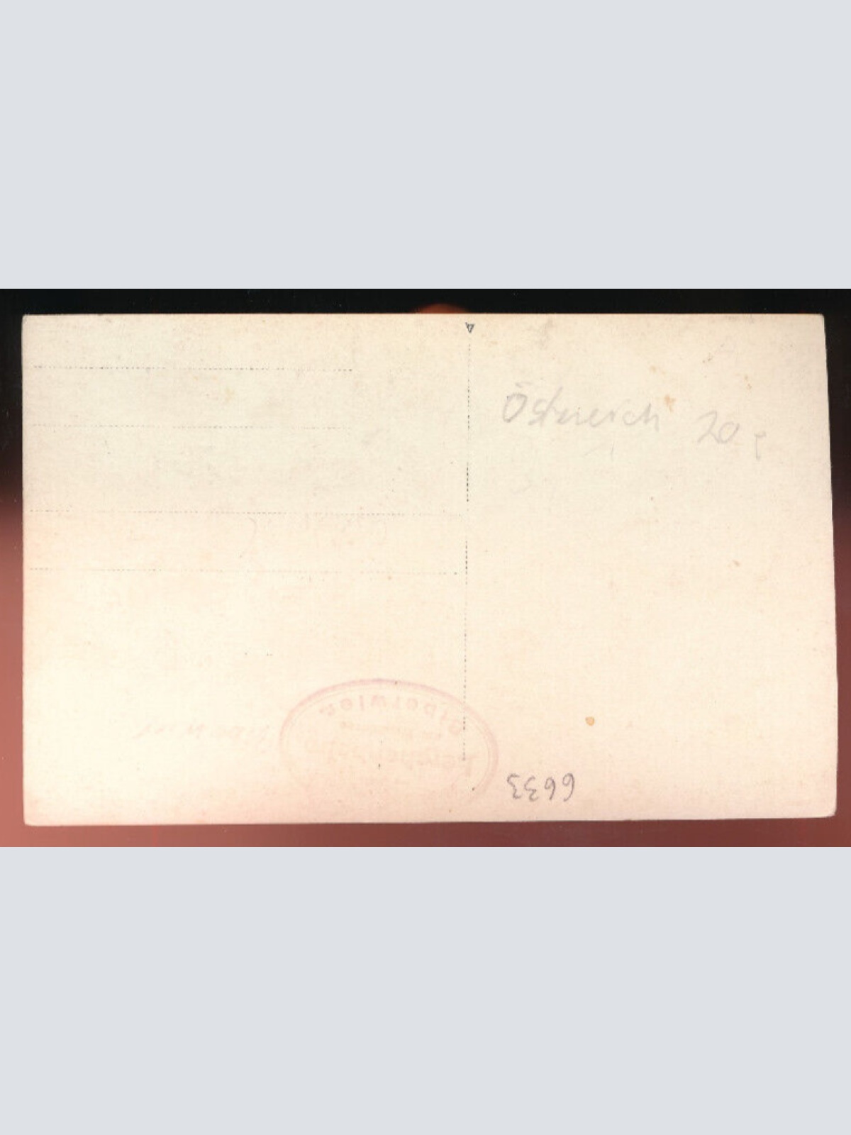 AK von der Restauration Lerchenheim am Weissensee Kärnten (5908)