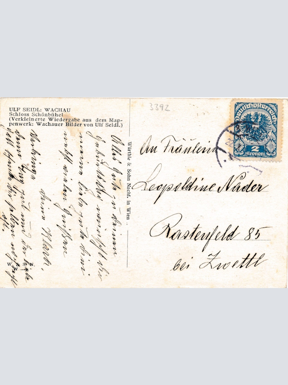 AK aus Schönbühel an der Donau mit Schloss Niederösterreich (6990)