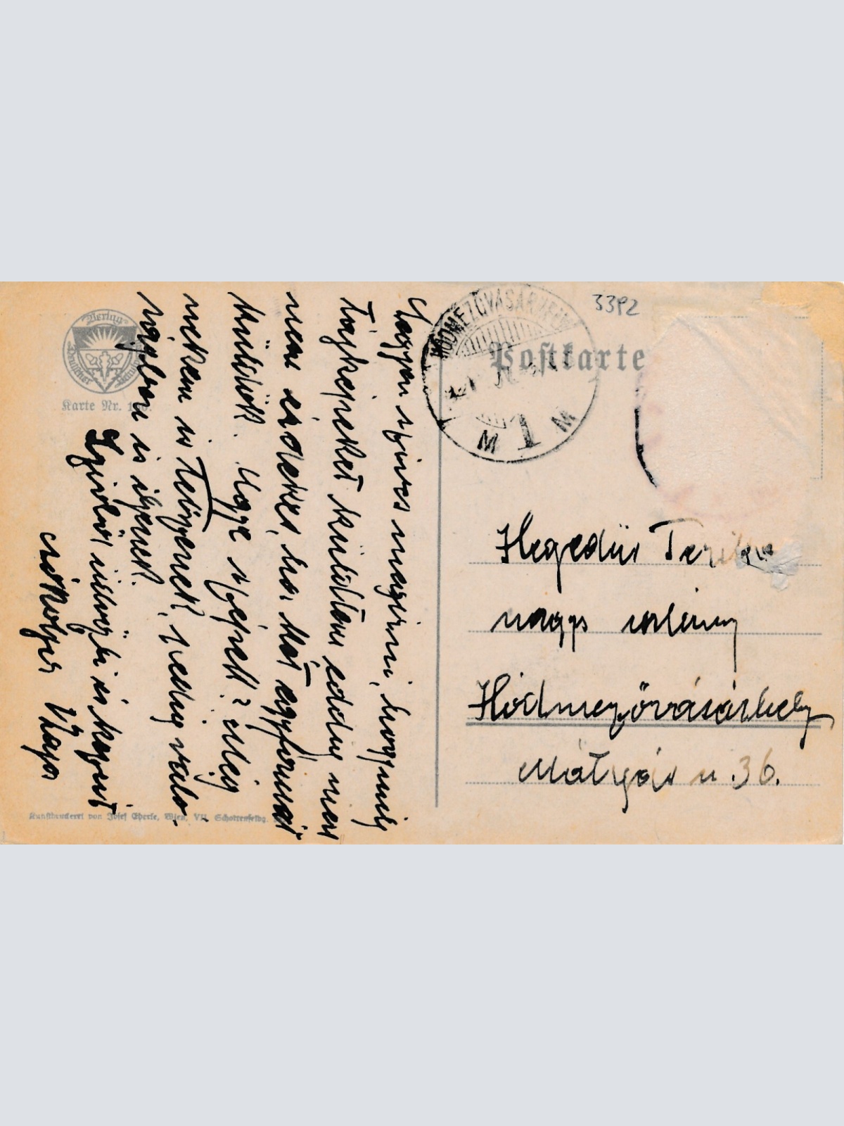 AK aus Schönbühel an der Donau mit Schloss Niederösterreich (6994)