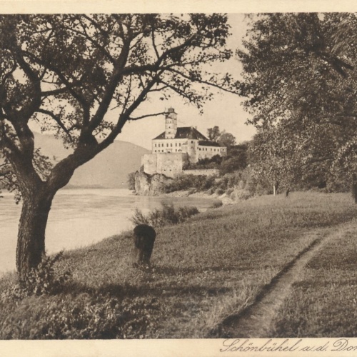 AK aus Schönbühel an der Donau mit Schloss Niederösterreich (6983)