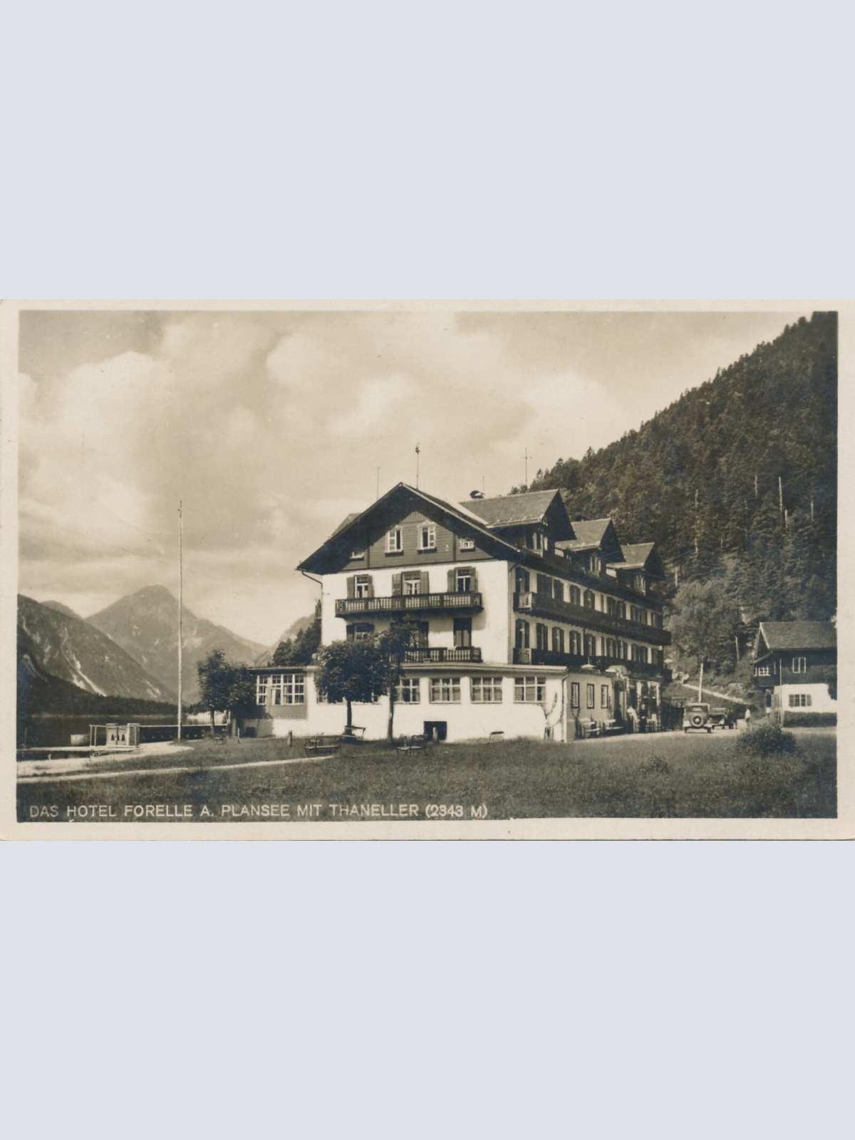 AK vom Hotel Forelle am Plansee mit Thaneller Tirol (6948)