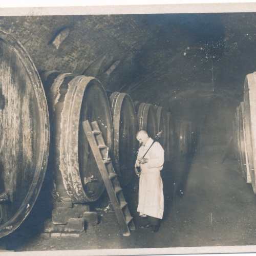 AK aus Melk Kellerstüberl Niederösterreich (7396)