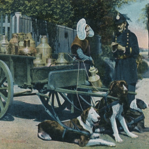 AK aus Laitieres Belgien mit Hundekarren - Hundewagen mit Polizist (6510)