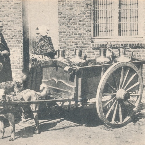 AK aus Laitieres Belgien mit Hundekarren - Hundewagen (6509)