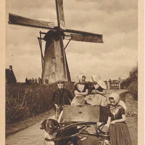 AK aus Zeeland Walcheren Holland mit Mühle und Hundekarren - Hundewagen (6505)