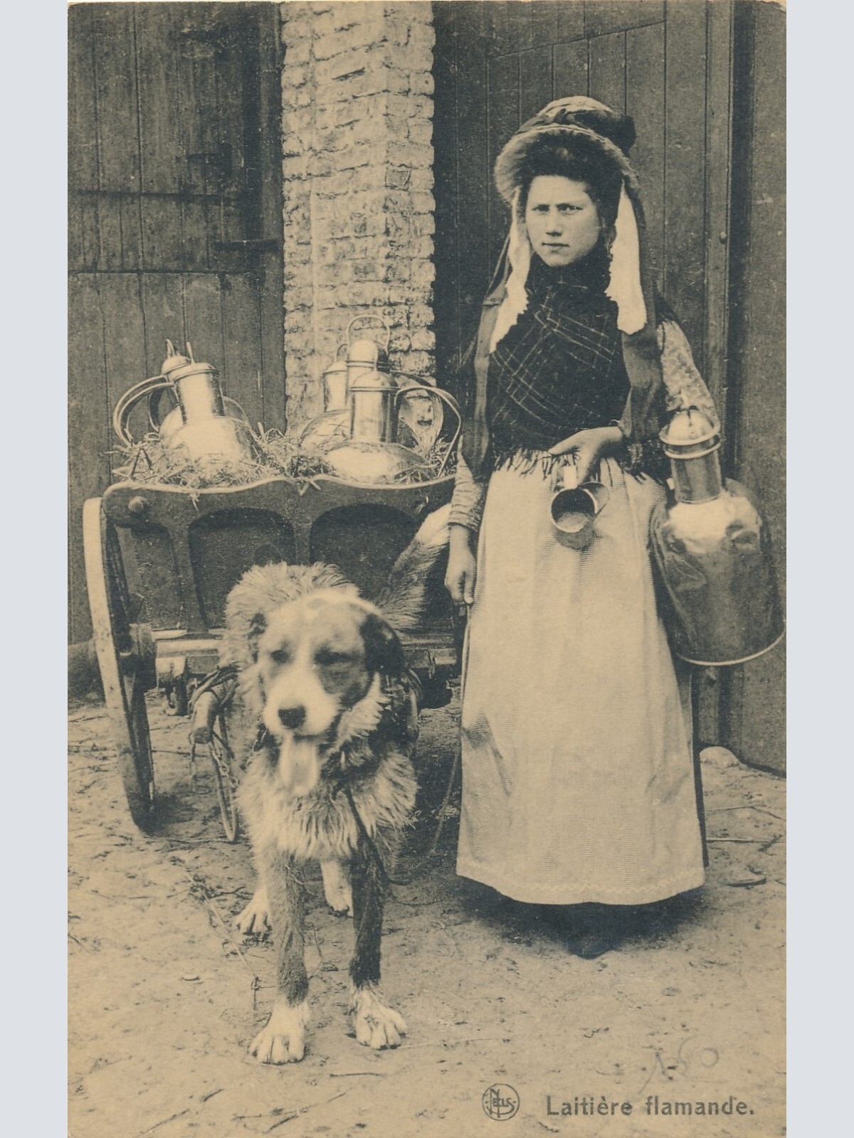 AK aus Laitiere Flammende Belgien mit Hundekarren - Hundewagen (6507)