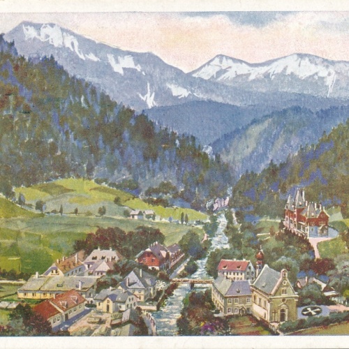 AK aus Mürzsteg Steiermark (7150)