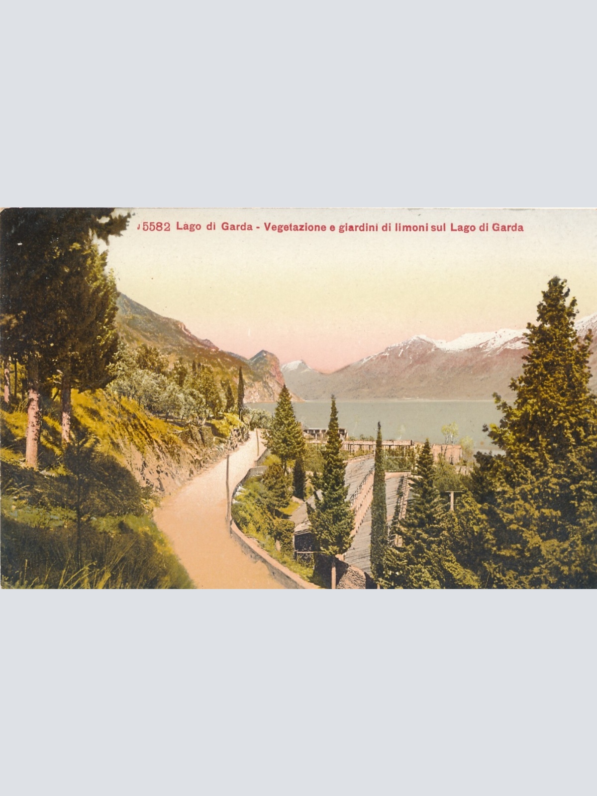 AK aus Lago di Garda Italien (7741)