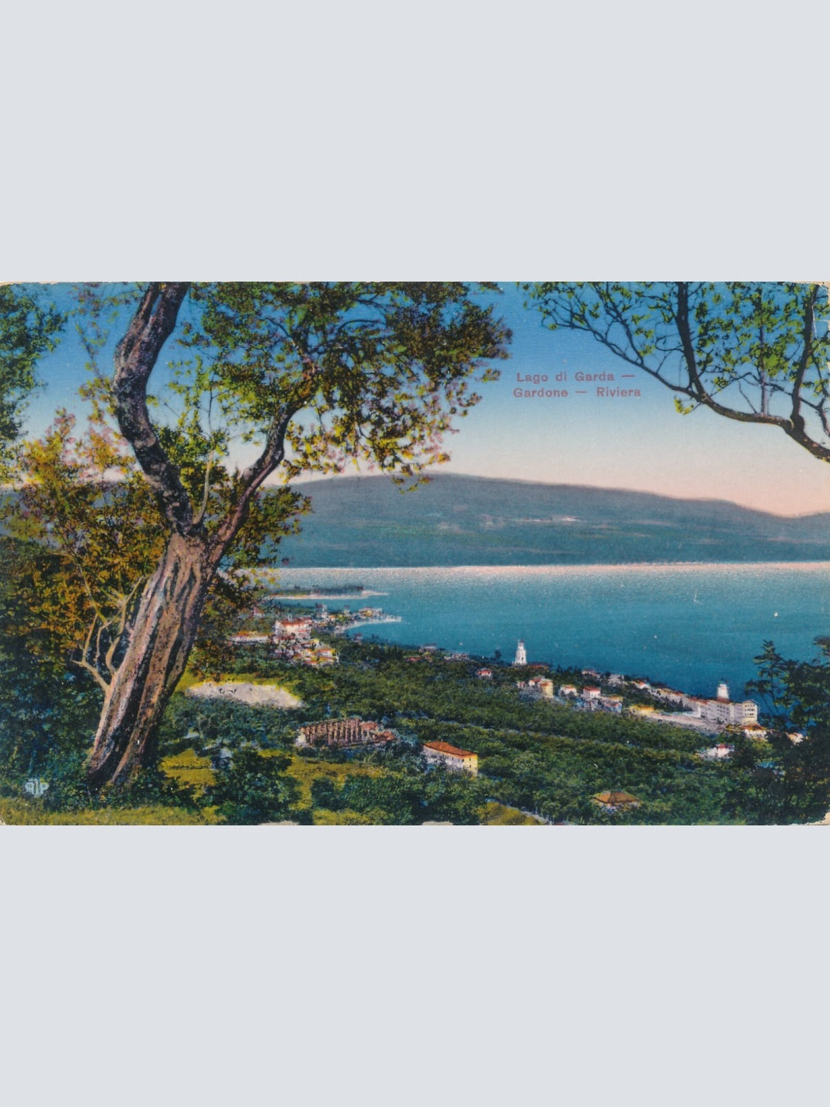 AK aus Lago di Garda Gardione Italien (7761)