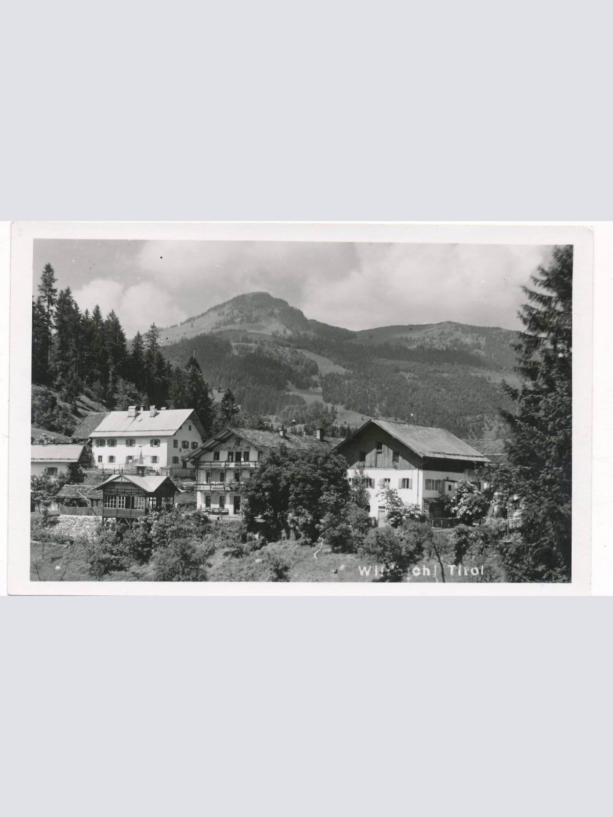 AK aus Wildbichl Tirol (7900)