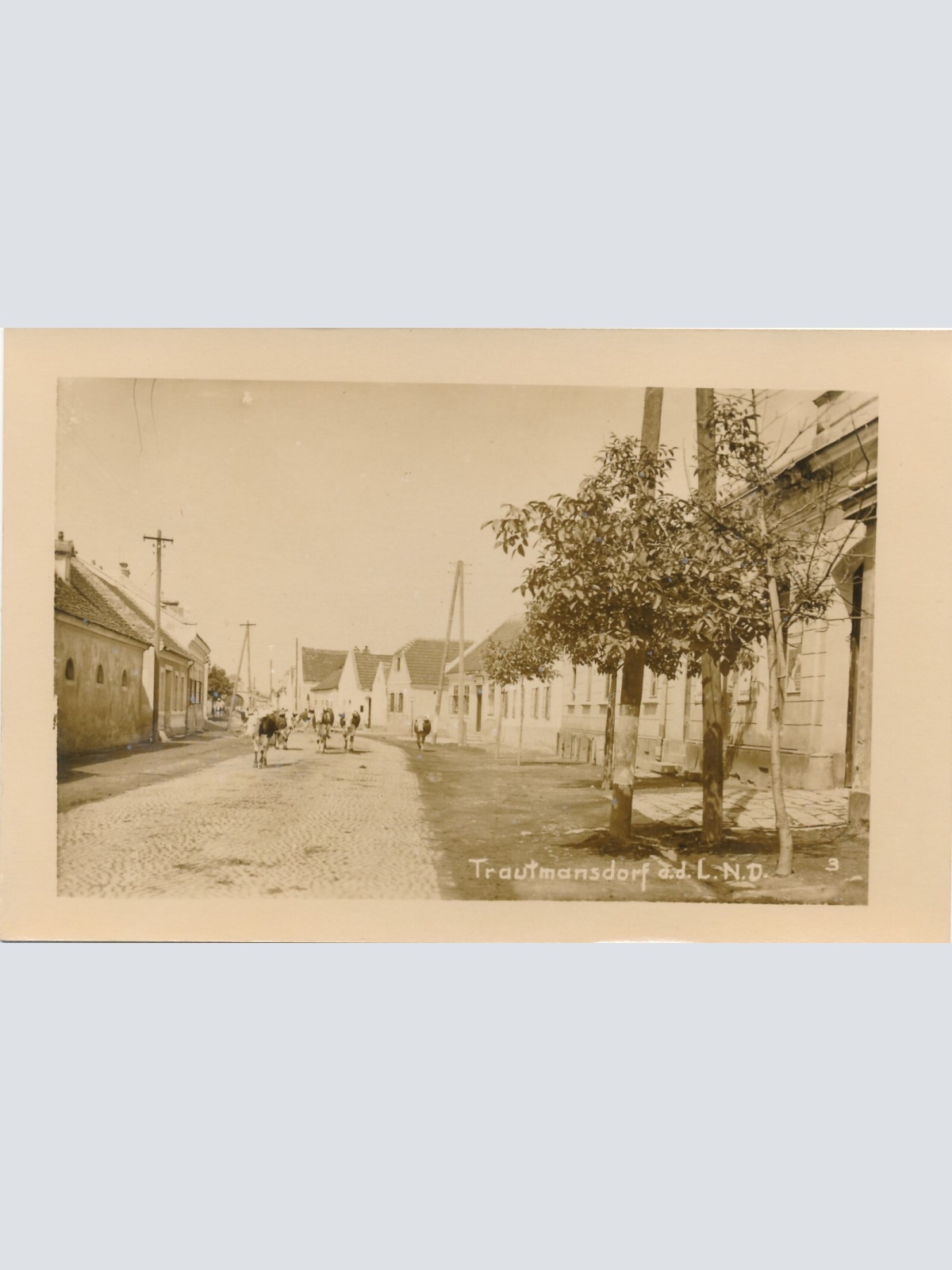 AK aus Trautmannsdorf Niederösterreich (7880)