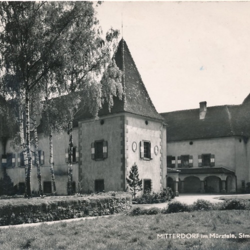 AK aus Mitterdorf mit Schloss Pichl Steiermark (8047)