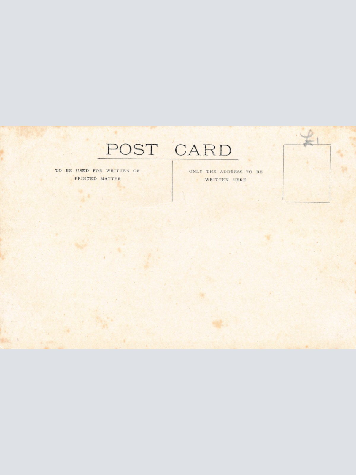 AK aus New Zeeland - Neuseeland mit Schafsherde (6559)