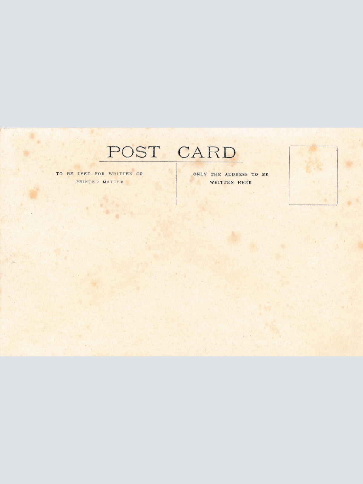 AK aus New Zeeland - Neuseeland mit Schafsherde (6562)