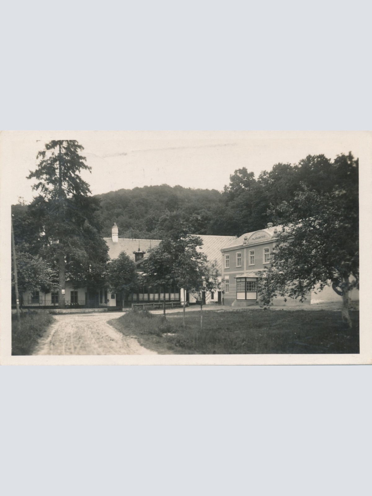 AK aus Waldheim zur Fichte Gastwirtschaft Niederösterreich (6646)