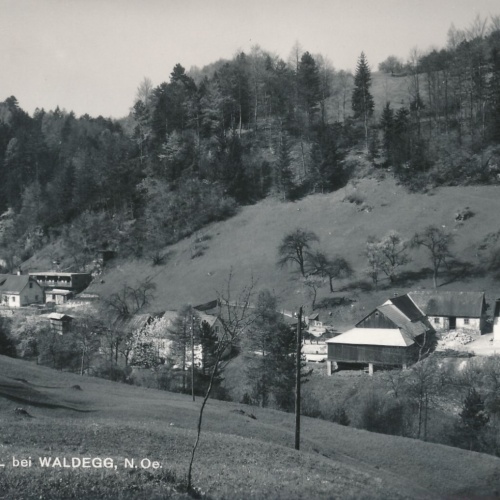 AK vom Dürnbachtal bei Waldegg Niederösterreich (6644)