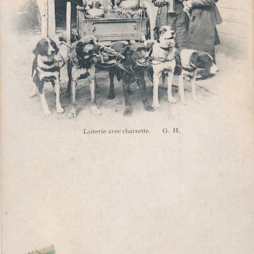 AK aus Laitiere avec charrette Hundekarren Belgien (6573)