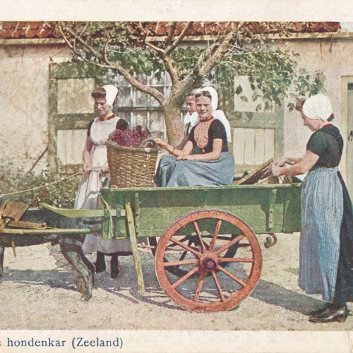 AK aus Zeeland Hundekarren - Hondenkar Niederlande (6569)