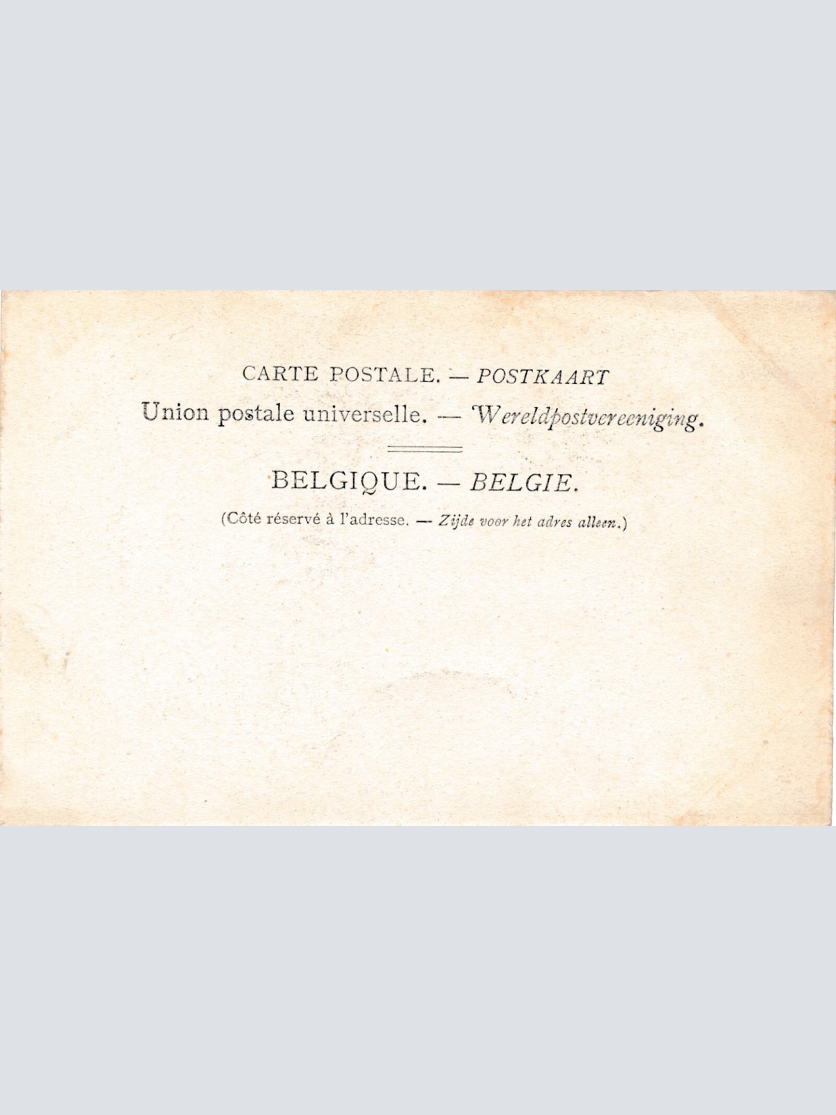 AK aus Attelage de Chiens flamand Hundekarren Belgien (6571)