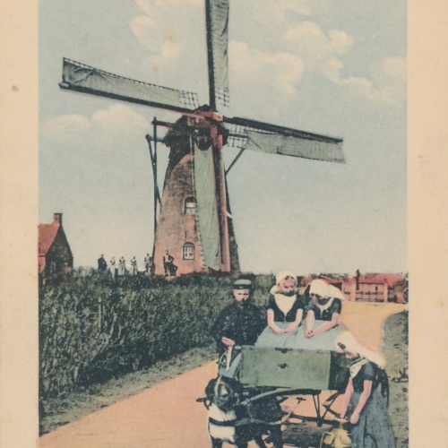 AK Hundekarren - Hondenkar Niederlande (6568)