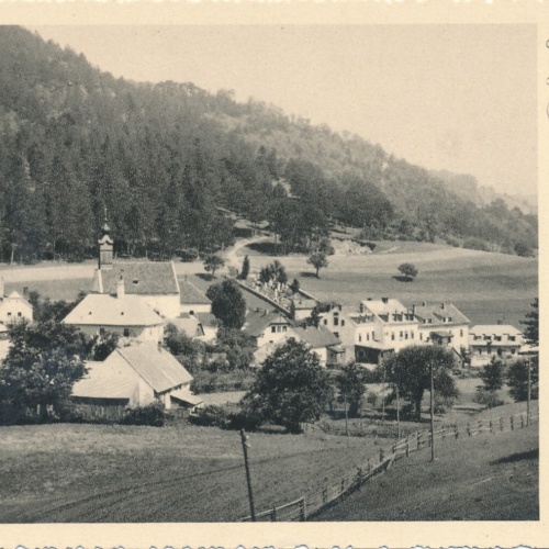 AK aus Raifenmarkt Niederösterreich Ansichtskarte (8122)