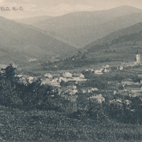 AK Hainfeld Niederösterreich Ansichtskarte (8125)