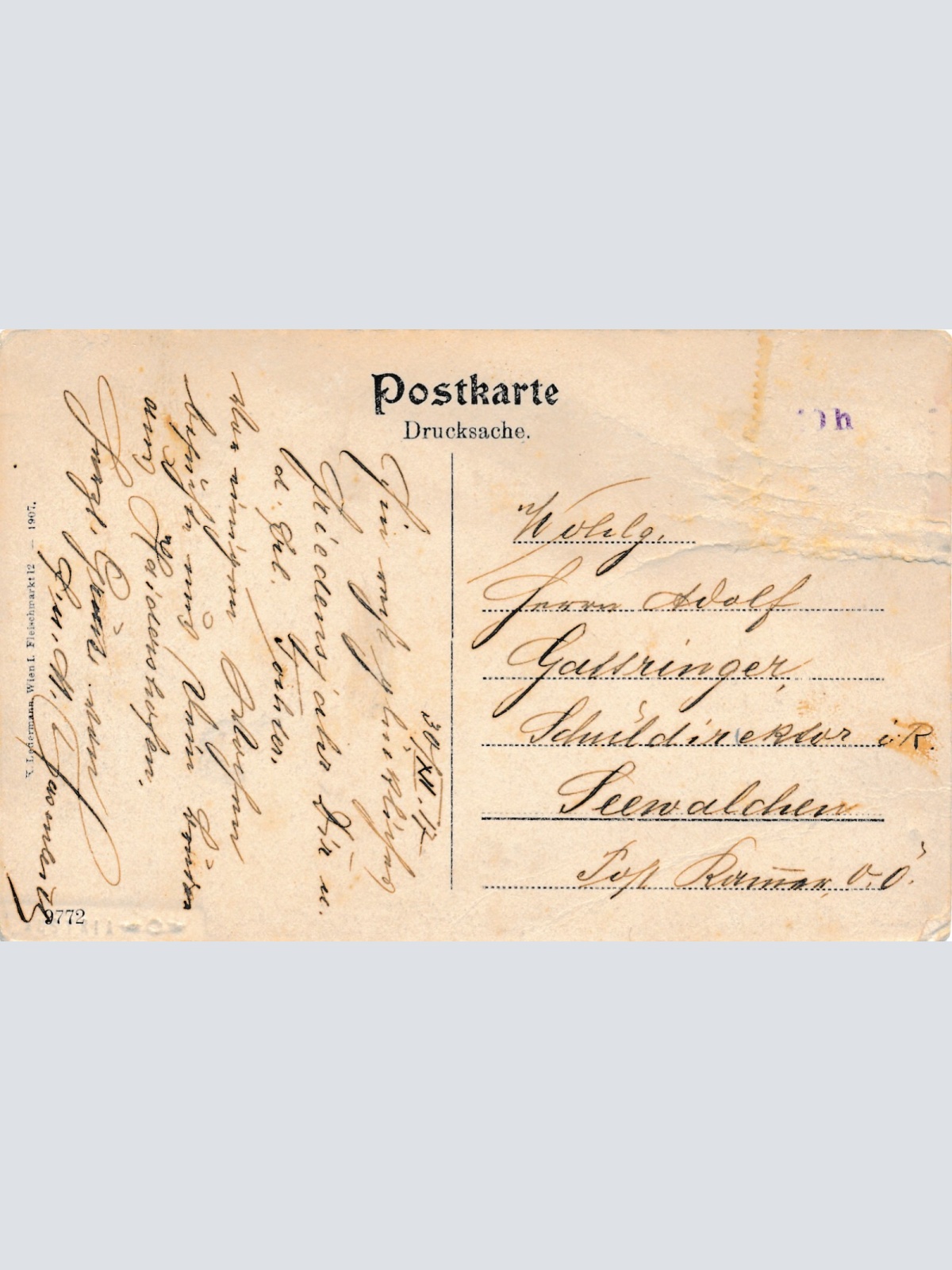 AK aus Wieselburg an der Erlauf Niederösterreich Ansichtskarte (8564)