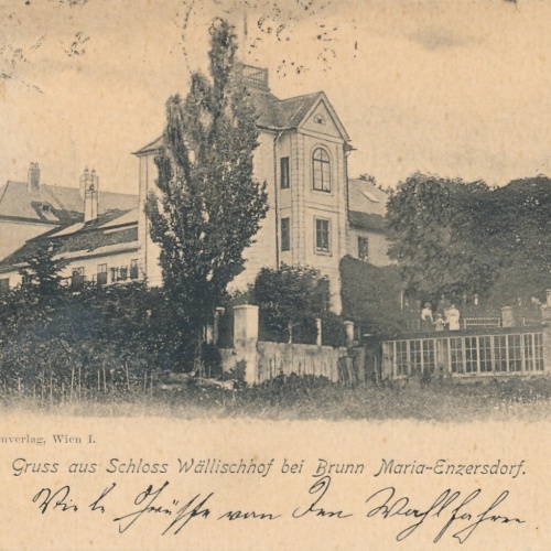 AK vom Schloss Wällischhof bei Brunn Niederösterreich Ansichtskarte (8367)