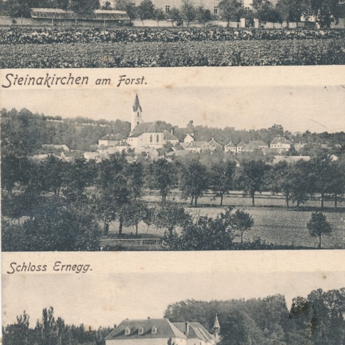 AK von Verschiedenen Schlössern Niederösterreich Ansichtskarte (8369)