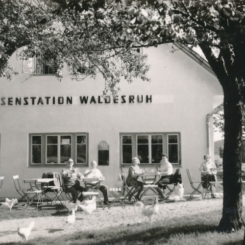 AK aus Gallspach mit Jausenstation Waldesruh Oberösterreich Ansichtskarte (8876)
