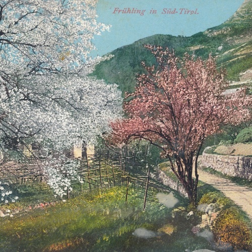 AK aus Süd Tirol Frühling Italien Ansichtskarte (8822)