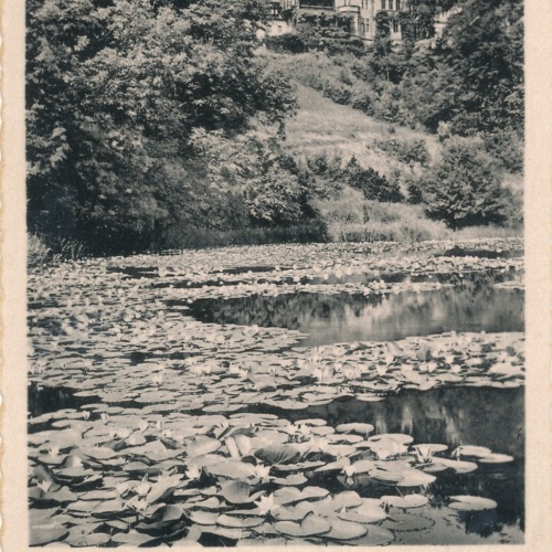 AK aus Gmunden mit Schloss Cumberland Oberösterreich Ansichtskarte (9449)