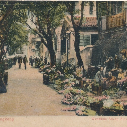 AK aus Hongkong Wyndham Street Flower Show China (7950)